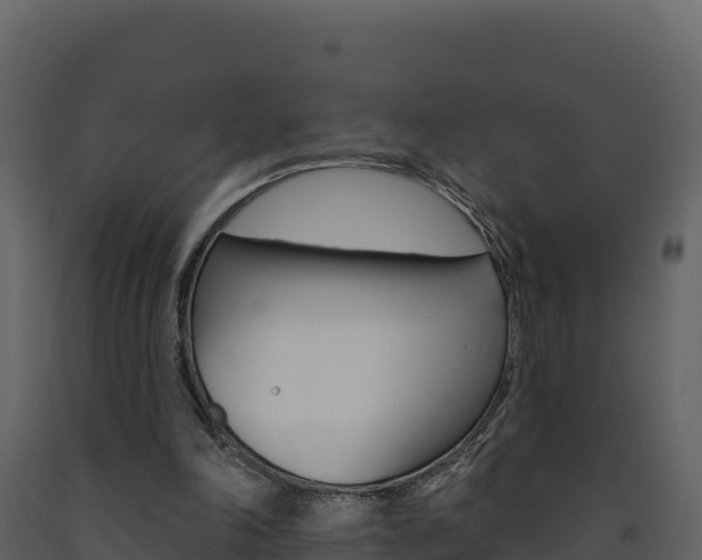 X0000091720198200708241028