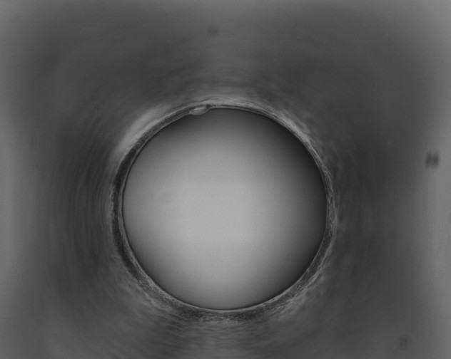 X0000091720199200708241028