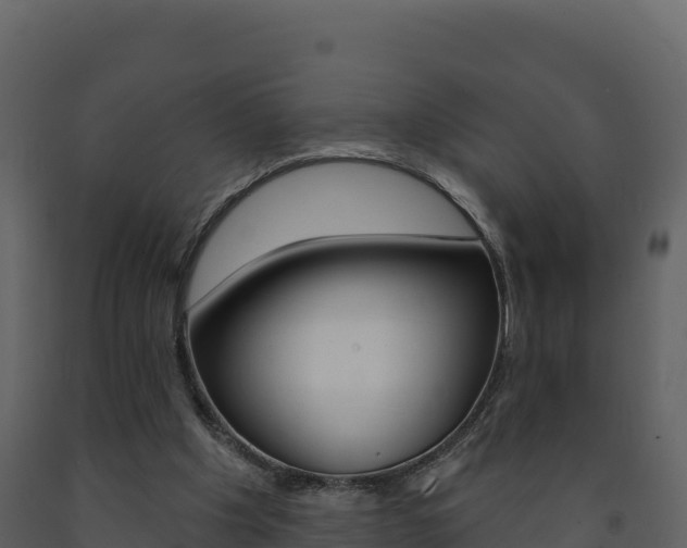 X0000091720201200708241028