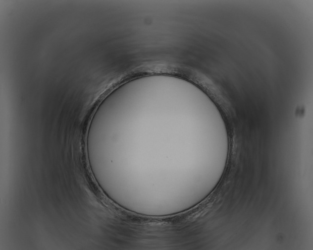 X0000091720202200708241028