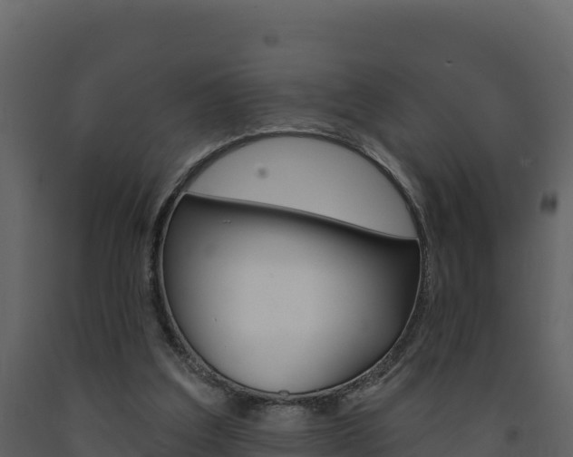 X0000091720203200708241028