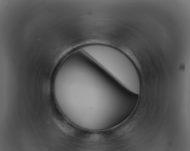 X0000091720204200708241028