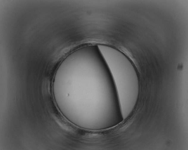 X0000091720205200708241028