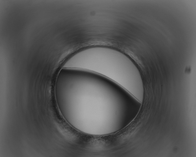 X0000091720207200708241028