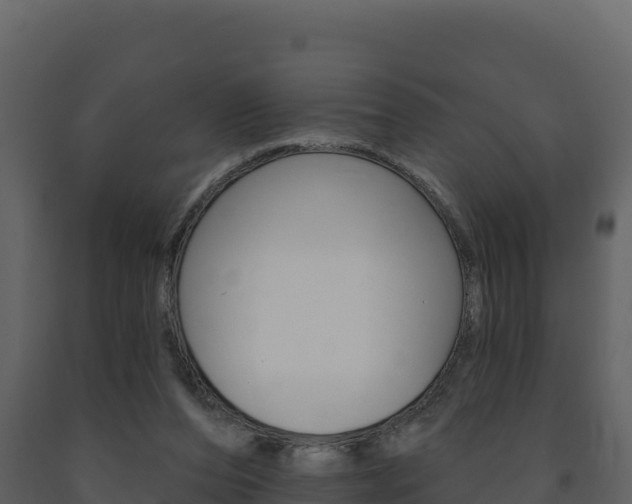 X0000091720208200708241028