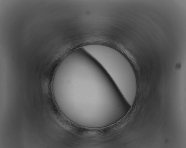 X0000091720209200708241028