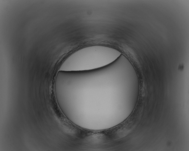 X0000091720210200708241028