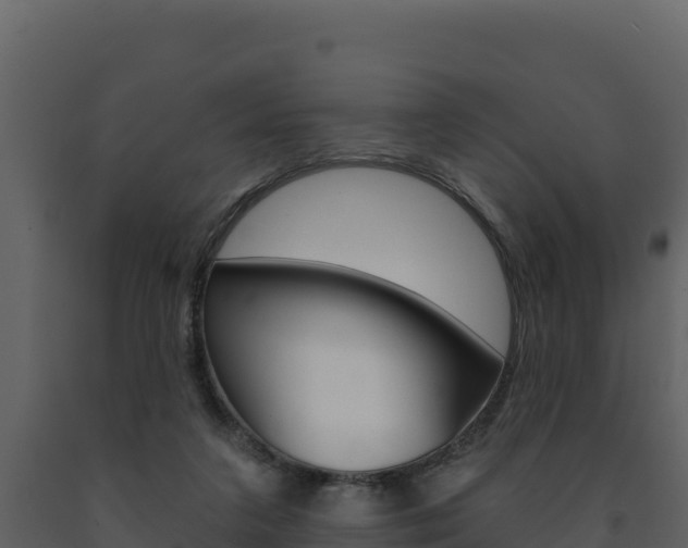 X0000091720211200708241028