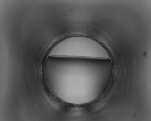 X0000091720212200708241028