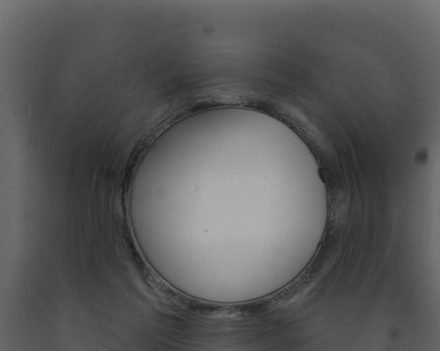 X0000091720213200708241028
