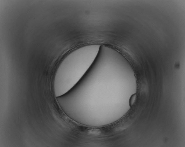 X0000091720214200708241028
