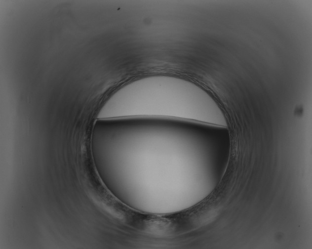 X0000091720215200708241028