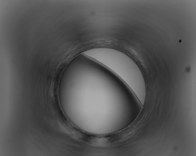 X0000091720217200708241027