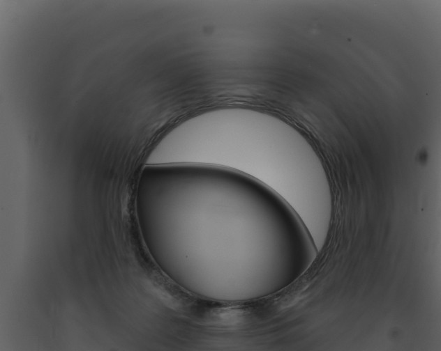 X0000091720219200708241027