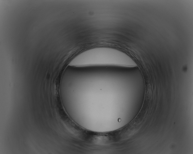 X0000091720220200708241027