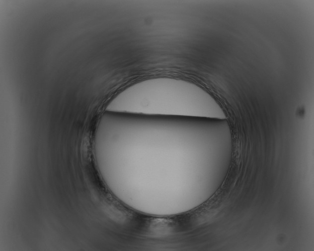 X0000091720222200708241027