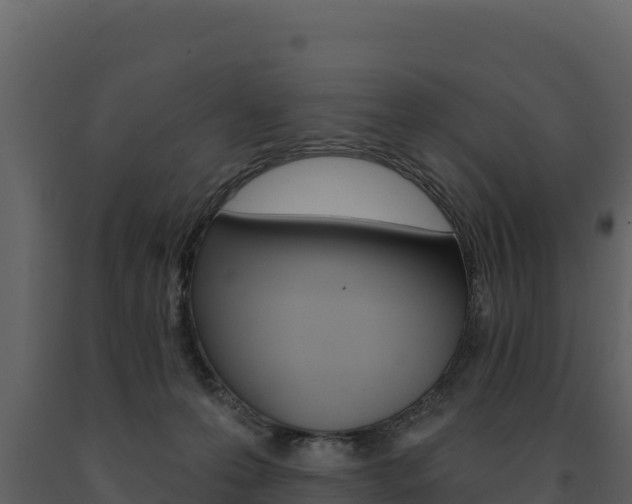 X0000091720223200708241027