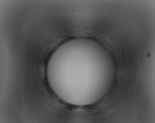 X0000091720224200708241027