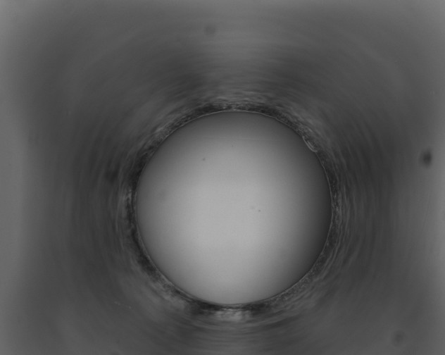 X0000091720225200708241027