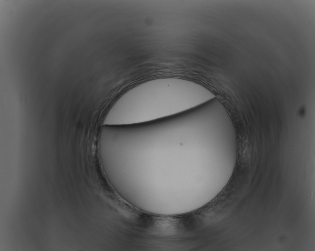 X0000091720226200708241027
