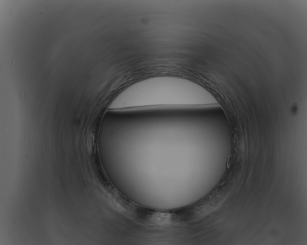 X0000091720227200708241027
