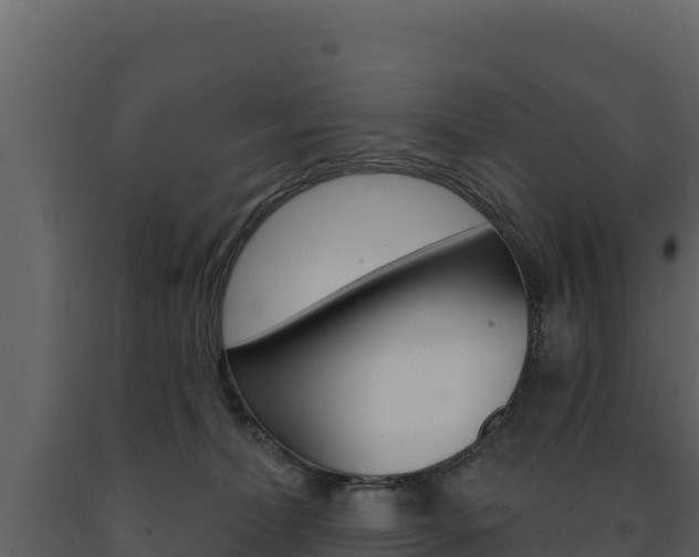 X0000091720228200708241027