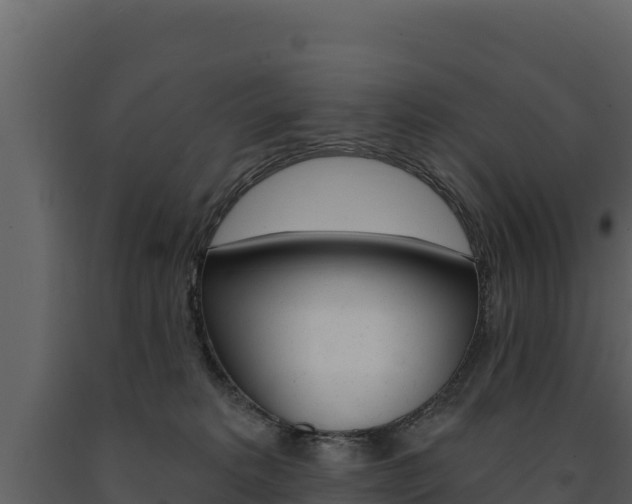 X0000091720229200708241027