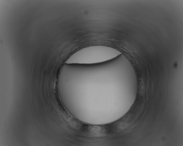 X0000091720230200708241027