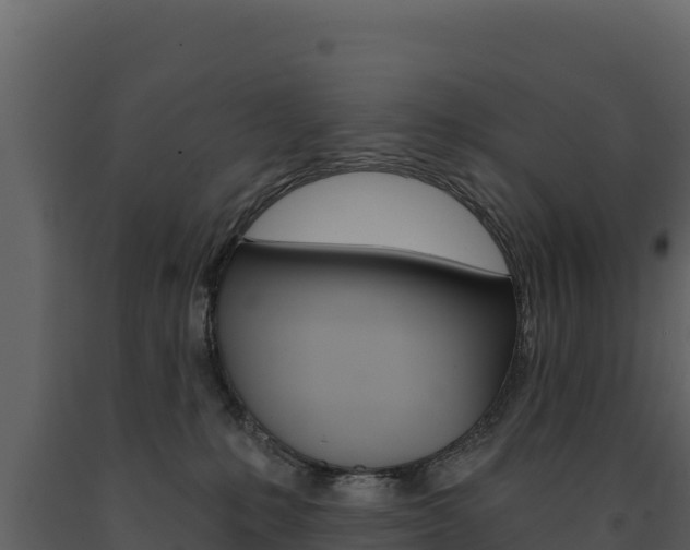 X0000091720231200708241027