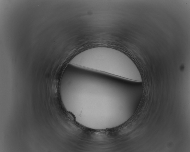 X0000091720232200708241027