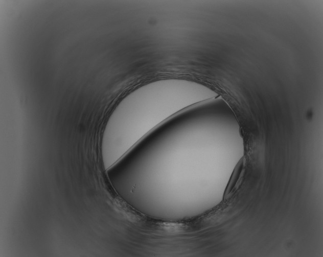 X0000091720233200708241027