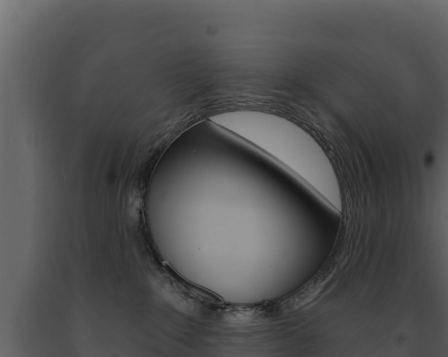 X0000091720235200708241027