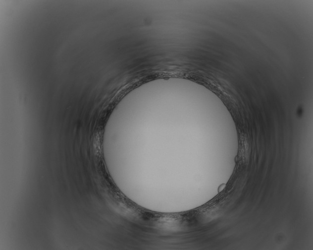 X0000091720236200708241027