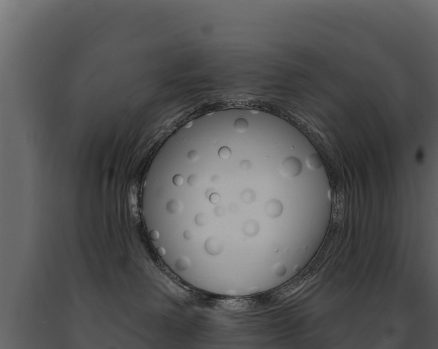 X0000091720238200708241027