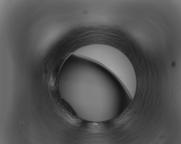 X0000091720239200708241027