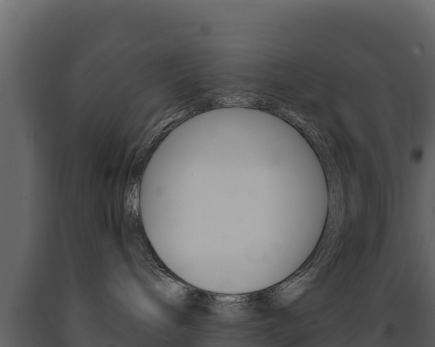 X0000091720240200708241027