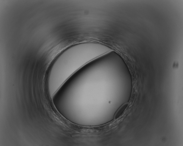 X0000091720242200708241026