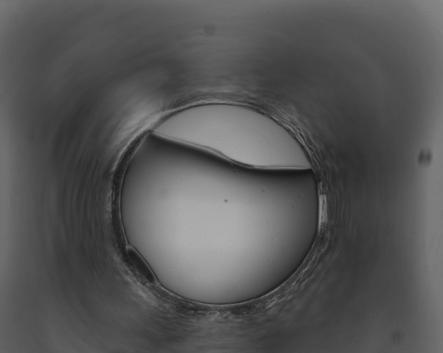 X0000091720243200708241026
