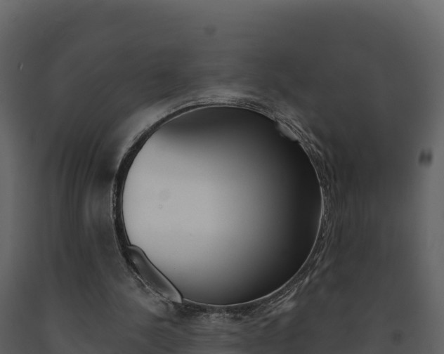 X0000091720244200708241026