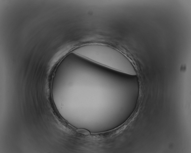 X0000091720245200708241026