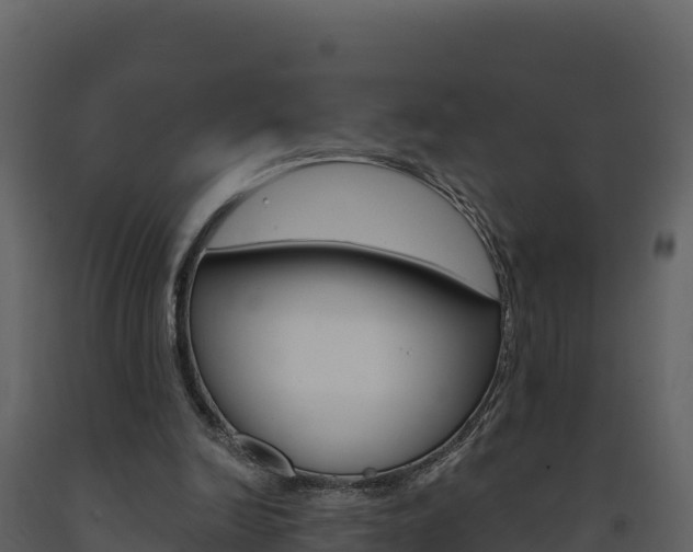X0000091720246200708241026