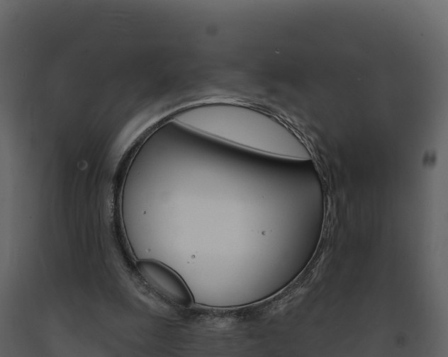 X0000091720247200708241026