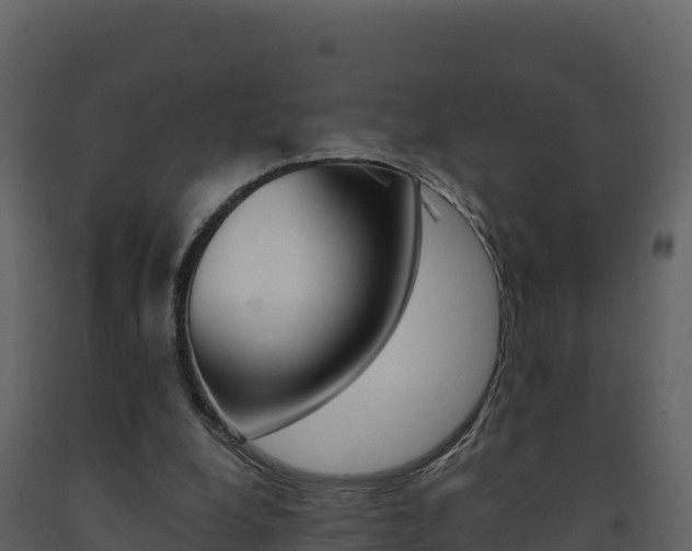 X0000091720248200708241026