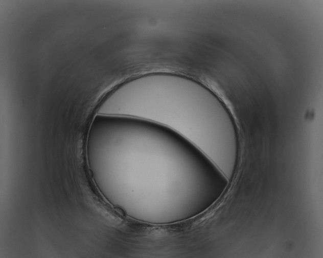 X0000091720249200708241027
