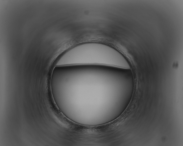 X0000091720250200708241027