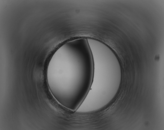 X0000091720252200708241027
