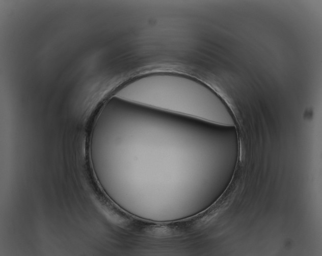 X0000091720253200708241027