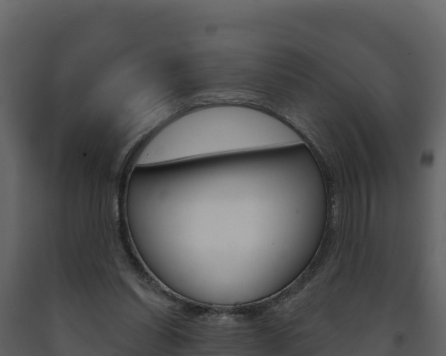 X0000091720254200708241027