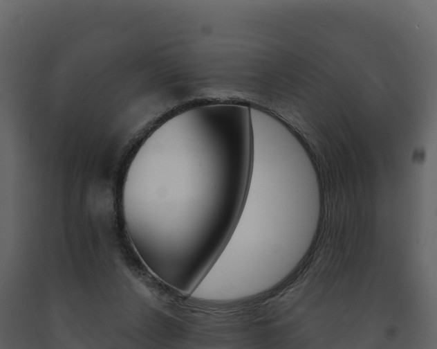 X0000091720256200708241027
