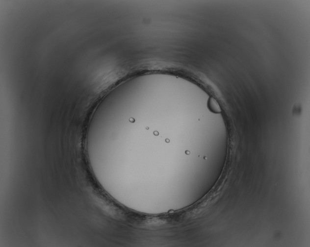 X0000091720257200708241027
